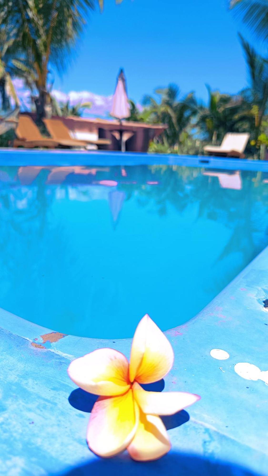 Nadi Fancy Hotel Extérieur photo